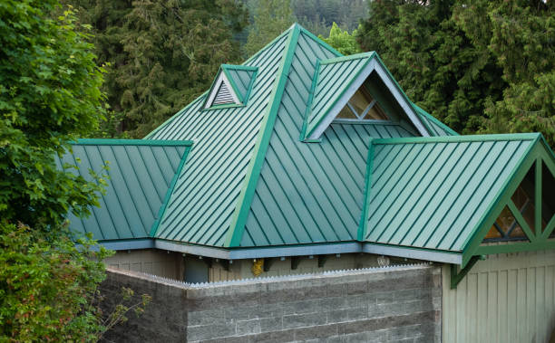 Best Roof Moss and Algae Removal  in Foresthill, CA
