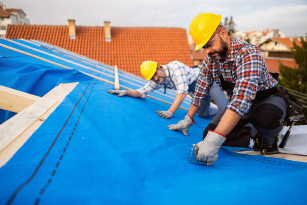 Best Gutter Installation and Repair  in Foresthill, CA