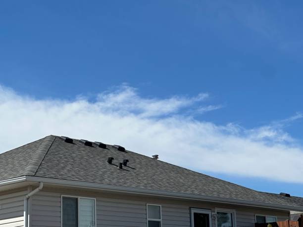 Best Asphalt Shingles Roofing  in Foresthill, CA